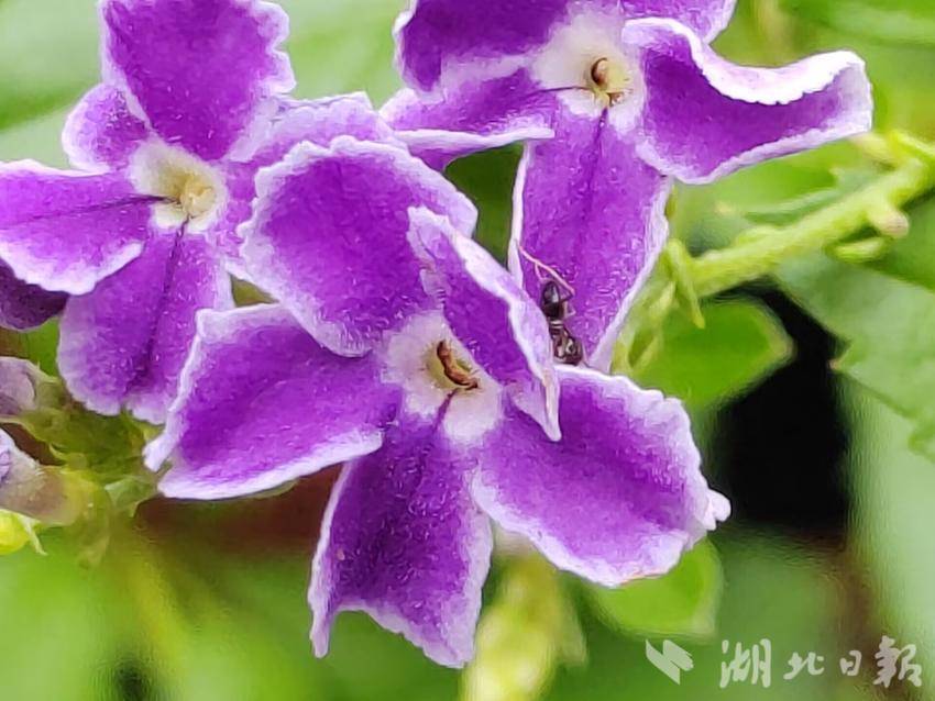 88老虎试玩注册送38